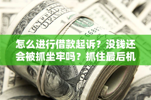 武汉怎么进行借款起诉？没钱还会被抓坐牢吗？抓住最后机会！