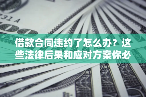 武汉借款合同违约了怎么办？这些法律后果和应对方案你必须知道