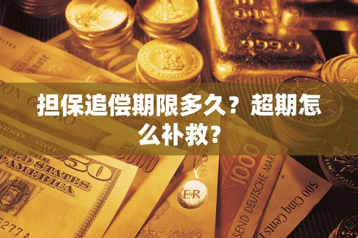 武汉担保追偿期限多久？超期怎么补救？
