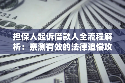 武汉担保人起诉借款人全流程解析：亲测有效的法律追偿攻略