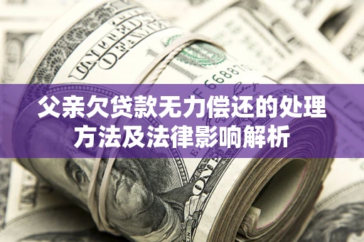 武汉父亲欠贷款无力偿还的处理方法及法律影响解析